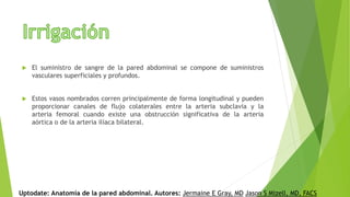  El suministro de sangre de la pared abdominal se compone de suministros
vasculares superficiales y profundos.
 Estos vasos nombrados corren principalmente de forma longitudinal y pueden
proporcionar canales de flujo colaterales entre la arteria subclavia y la
arteria femoral cuando existe una obstrucción significativa de la arteria
aórtica o de la arteria ilíaca bilateral.
Uptodate: Anatomía de la pared abdominal. Autores: Jermaine E Gray, MD Jason S Mizell, MD, FACS
 