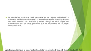  La vasculatura superficial está localizada en los tejidos subcutáneos y
suministra los tejidos superficiales a la aponeurosis oblicua externa y la vaina
del recto anterior. Los músculos y tejidos debajo de estas capas son
suministrados por los vasos profundos que se encuentran en las capas
musculofasciales.
Uptodate: Anatomía de la pared abdominal. Autores: Jermaine E Gray, MD Jason S Mizell, MD, FACS
 