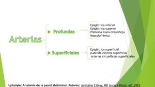 Epigástrica inferior
Epigástrica superior
Profunda iliaca circunfleja
Musculofrénica
Epigástrica superficial
pudenda externa superficial
Arterias circunflejas superficiales
Uptodate: Anatomía de la pared abdominal. Autores: Jermaine E Gray, MD Jason S Mizell, MD, FACS
 