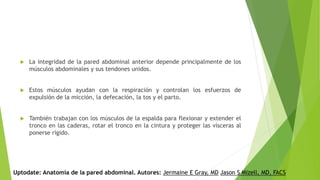  La integridad de la pared abdominal anterior depende principalmente de los
músculos abdominales y sus tendones unidos.
 Estos músculos ayudan con la respiración y controlan los esfuerzos de
expulsión de la micción, la defecación, la tos y el parto.
 También trabajan con los músculos de la espalda para flexionar y extender el
tronco en las caderas, rotar el tronco en la cintura y proteger las vísceras al
ponerse rígido.
Uptodate: Anatomía de la pared abdominal. Autores: Jermaine E Gray, MD Jason S Mizell, MD, FACS
 