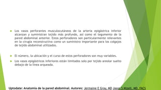  Los vasos perforantes musculocutáneos de la arteria epigástrica inferior
alcanzan y suministran tejido más profundo, así como el tegumento de la
pared abdominal anterior. Estos perforadores son particularmente relevantes
en la cirugía reconstructiva como un suministro importante para los colgajos
de tejido abdominal utilizados.
 El número, la ubicación y el curso de estos perforadores son muy variables.
 Los vasos epigástricos inferiores están limitados solo por tejido areolar suelto
debajo de la línea arqueada.
Uptodate: Anatomía de la pared abdominal. Autores: Jermaine E Gray, MD Jason S Mizell, MD, FACS
 