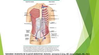 Uptodate: Anatomía de la pared abdominal. Autores: Jermaine E Gray, MD Jason S Mizell, MD, FACS
 