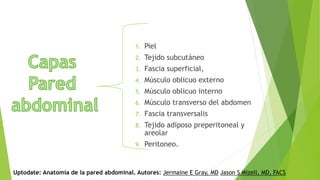 1. Piel
2. Tejido subcutáneo
3. Fascia superficial,
4. Músculo oblicuo externo
5. Músculo oblicuo interno
6. Músculo transverso del abdomen
7. Fascia transversalis
8. Tejido adiposo preperitoneal y
areolar
9. Peritoneo.
Uptodate: Anatomía de la pared abdominal. Autores: Jermaine E Gray, MD Jason S Mizell, MD, FACS
 