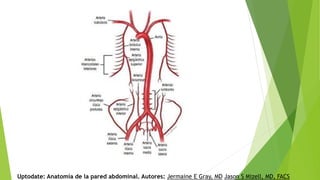 Uptodate: Anatomía de la pared abdominal. Autores: Jermaine E Gray, MD Jason S Mizell, MD, FACS
 