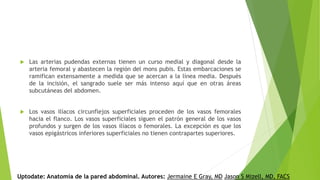  Las arterias pudendas externas tienen un curso medial y diagonal desde la
arteria femoral y abastecen la región del mons pubis. Estas embarcaciones se
ramifican extensamente a medida que se acercan a la línea media. Después
de la incisión, el sangrado suele ser más intenso aquí que en otras áreas
subcutáneas del abdomen.
 Los vasos ilíacos circunflejos superficiales proceden de los vasos femorales
hacia el flanco. Los vasos superficiales siguen el patrón general de los vasos
profundos y surgen de los vasos ilíacos o femorales. La excepción es que los
vasos epigástricos inferiores superficiales no tienen contrapartes superiores.
Uptodate: Anatomía de la pared abdominal. Autores: Jermaine E Gray, MD Jason S Mizell, MD, FACS
 