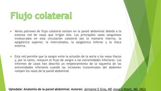  Varios patrones de flujo colateral existen en la pared abdominal debido a la
extensa red de vasos que irrigan ella. Los principales vasos sanguíneos
involucrados en esta circulación colateral son la mamaria interna, la
epigástrica superior, la intercostales, la epigástrica inferior y la ilíaca
externa.
 Esta red permite que la sangre evite la oclusión de la aorta o los vasos ilíacos
y, por lo tanto, restaure el flujo de sangre a las extremidades inferiores. Los
informes de casos han descrito un empeoramiento de la isquemia de las
extremidades inferiores cuando las incisiones transversales del abdomen
rompen los vasos de la pared abdominal
Uptodate: Anatomía de la pared abdominal. Autores: Jermaine E Gray, MD Jason S Mizell, MD, FACS
 