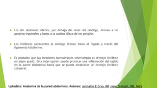  Los del abdomen inferior, por debajo del nivel del ombligo, drenan a los
ganglios inguinales y luego a la cadena ilíaca de los ganglios.
 Los linfáticos adyacentes al ombligo drenan hacia el hígado a través del
ligamento falciforme.
 Es probable que las incisiones transversales interrumpan el drenaje linfático
en algún grado. Esta interrupción puede provocar una inflamación del tejido
en la pared abdominal hasta que se pueda establecer un drenaje linfático
colateral.
Uptodate: Anatomía de la pared abdominal. Autores: Jermaine E Gray, MD Jason S Mizell, MD, FACS
 