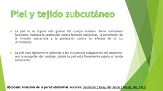  La piel es el órgano más grande del cuerpo humano. Tiene numerosas
funciones, incluida la protección contra lesiones mecánicas, la prevención de
la invasión bacteriana y la protección contra los efectos de la luz
ultravioleta.
 La piel está ligeramente adherida a las estructuras subyacentes del abdomen,
con la excepción del ombligo, donde la piel está firmemente sujeta al tejido
subyacente.
Uptodate: Anatomía de la pared abdominal. Autores: Jermaine E Gray, MD Jason S Mizell, MD, FACS
 