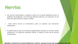  Los nervios intercostales y lumbares entran en la pared abdominal entre el
abdomen del abdomen y los músculos oblicuos internos y se ejecutan en una
dirección generalmente caudal y medial.
 Cada nervio inerva un dermatoma, pero se produce una inervación
superpuesta.
 Se puede esperar que las incisiones longitudinales (excepto en la línea media)
conduzcan a un deterioro sensorial inferior y medial al nivel de los nervios
transectados.
Uptodate: Anatomía de la pared abdominal. Autores: Jermaine E Gray, MD Jason S Mizell, MD, FACS
 