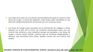  Las líneas de la piel con una tensión aproximadamente igual se conocen como
líneas de Langer. A través del abdomen, estas líneas están orientadas en una
dirección predominantemente transversal con una curvatura suave.
 Las líneas de Langer están asociadas con la distribución de colágeno y fibras
elásticas en la piel. Por lo tanto, las incisiones transversales sanan con una
cicatriz más estrecha y más cosmética porque son paralelas a las líneas de
Langer y tienen menos tensión, mientras que las incisiones longitudinales u
oblicuas, que atraviesan estas líneas, pueden curarse con una cicatriz más
amplia.
Uptodate: Anatomía de la pared abdominal. Autores: Jermaine E Gray, MD Jason S Mizell, MD, FACS
 
