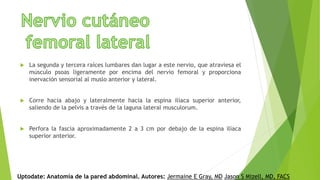  La segunda y tercera raíces lumbares dan lugar a este nervio, que atraviesa el
músculo psoas ligeramente por encima del nervio femoral y proporciona
inervación sensorial al muslo anterior y lateral.
 Corre hacia abajo y lateralmente hacia la espina ilíaca superior anterior,
saliendo de la pelvis a través de la laguna lateral musculorum.
 Perfora la fascia aproximadamente 2 a 3 cm por debajo de la espina ilíaca
superior anterior.
Uptodate: Anatomía de la pared abdominal. Autores: Jermaine E Gray, MD Jason S Mizell, MD, FACS
 