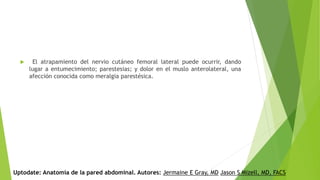  El atrapamiento del nervio cutáneo femoral lateral puede ocurrir, dando
lugar a entumecimiento; parestesias; y dolor en el muslo anterolateral, una
afección conocida como meralgia parestésica.
Uptodate: Anatomía de la pared abdominal. Autores: Jermaine E Gray, MD Jason S Mizell, MD, FACS
 