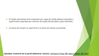  El tejido subcutáneo está compuesto por capas de tejido adiposo profundas y
superficiales separadas por matrices de tejido fibroso débil y poco definidas.
 La fascia de Camper es superficial y la fascia de Scarpa es profunda.
Uptodate: Anatomía de la pared abdominal. Autores: Jermaine E Gray, MD Jason S Mizell, MD, FACS
 