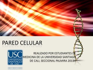 PARED CELULAR
REALIZADO POR ESTUDIANTES DE
MEDICINA DE LA UNIVERSIDAD SANTIAGO
DE CALI, SECCIONAL PALMIRA 2013A

 