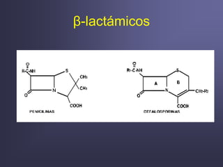 β-lactámicos