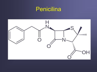 Penicilina