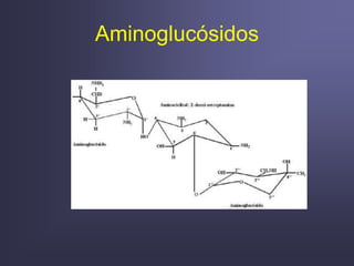 Aminoglucósidos