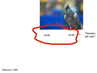 “Nombre
                 verde   verde
                                 del color”




Maturana, 1994
 