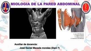 MIOLOGIA DE LA PARED ABDOMINAL
 