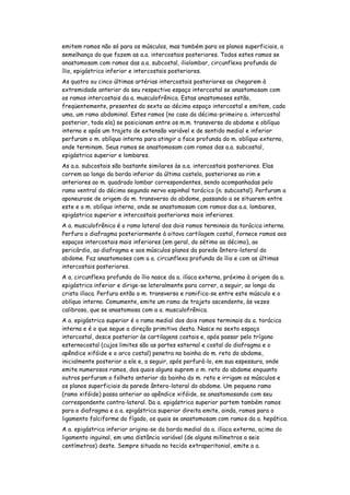 emitem ramos não só para os músculos, mas também para os planos superficiais, a
semelhança do que fazem as a.a. intercostais posteriores. Todos estes ramos se
anastomosam com ramos das a.a. subcostal, iliolombar, circunflexa profunda do
ílio, epigástrica inferior e intercostais posteriores.
As quatro ou cinco últimas artérias intercostais posteriores ao chegarem à
extremidade anterior do seu respectivo espaço intercostal se anastomosam com
os ramos intercostais da a. musculofrênica. Estas anastomoses estão,
freqüentemente, presentes do sexto ao décimo espaço intercostal e emitem, cada
uma, um ramo abdominal. Estes ramos (no caso da décima-primeira a. intercostal
posterior, toda ela) se posicionam entre os m.m. transverso do abdome e oblíquo
interno e após um trajeto de extensão variável e de sentido medial e inferior
perfuram o m. oblíquo interno para atingir a face profunda do m. oblíquo externo,
onde terminam. Seus ramos se anastomosam com ramos das a.a. subcostal,
epigástrica superior e lombares.
As a.a. subcostais são bastante similares às a.a. intercostais posteriores. Elas
correm ao longo da borda inferior da última costela, posteriores ao rim e
anteriores ao m. quadrado lombar correspondentes, sendo acompanhadas pelo
ramo ventral do décimo segundo nervo espinhal torácico (n. subcostal). Perfuram a
aponeurose de origem do m. transverso do abdome, passando a se situarem entre
este e o m. oblíquo interno, onde se anastomosam com ramos das a.a. lombares,
epigástrica superior e intercostais posteriores mais inferiores.
A a. musculofrênica é o ramo lateral dos dois ramos terminais da torácica interna.
Perfura o diafragma posteriormente à oitava cartilagem costal, fornece ramos aos
espaços intercostais mais inferiores (em geral, do sétimo ao décimo), ao
pericárdio, ao diafragma e aos músculos planos da parede ântero-lateral do
abdome. Faz anastomoses com a a. circunflexa profunda do ílio e com as últimas
intercostais posteriores.
A a. circunflexa profunda do ílio nasce da a. ilíaca externa, próximo à origem da a.
epigástrica inferior e dirige-se lateralmente para correr, a seguir, ao longo da
crista ilíaca. Perfura então o m. transverso e ramifica-se entre este músculo e o
oblíquo interno. Comumente, emite um ramo de trajeto ascendente, às vezes
calibroso, que se anastomosa com a a. musculofrênica.
A a. epigástrica superior é o ramo medial dos dois ramos terminais da a. torácica
interna e é o que segue a direção primitiva desta. Nasce no sexto espaço
intercostal, desce posterior às cartilagens costais e, após passar pelo trígono
esternocostal (cujos limites são as partes esternal e costal do diafragma e o
apêndice xifóide e o arco costal) penetra na bainha do m. reto do abdome,
inicialmente posterior a ele e, a seguir, após perfurá-lo, em sua espessura, onde
emite numerosos ramos, dos quais alguns suprem o m. reto do abdome enquanto
outros perfuram o folheto anterior da bainha do m. reto e irrigam os músculos e
os planos superficiais da parede ântero-lateral do abdome. Um pequeno ramo
(ramo xifóide) passa anterior ao apêndice xifóide, se anastomosando com seu
correspondente contra-lateral. Da a. epigástrica superior partem também ramos
para o diafragma e a a. epigástrica superior direita emite, ainda, ramos para o
ligamento falciforme do fígado, os quais se anastomosam com ramos da a. hepática.
A a. epigástrica inferior origina-se da borda medial da a. ilíaca externa, acima do
ligamento inguinal, em uma distância variável (de alguns milímetros a seis
centímetros) deste. Sempre situada no tecido extraperitonial, emite a a.
 