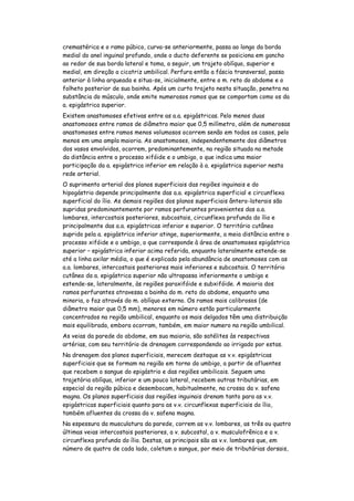 cremastérica e o ramo púbico, curva-se anteriormente, passa ao longo da borda
medial do anel inguinal profundo, onde o ducto deferente se posiciona em gancho
ao redor de sua borda lateral e toma, a seguir, um trajeto oblíquo, superior e
medial, em direção a cicatriz umbilical. Perfura então a fáscia transversal, passa
anterior à linha arqueada e situa-se, inicialmente, entre o m. reto do abdome e o
folheto posterior de sua bainha. Após um curto trajeto nesta situação, penetra na
substância do músculo, onde emite numerosos ramos que se comportam como os da
a. epigástrica superior.
Existem anastomoses efetivas entre as a.a. epigástricas. Pelo menos duas
anastomoses entre ramos de diâmetro maior que 0,5 milímetro, além de numerosas
anastomoses entre ramos menos volumosos ocorrem senão em todos os casos, pelo
menos em uma ampla maioria. As anastomoses, independentemente dos diâmetros
dos vasos envolvidos, ocorrem, predominantemente, na região situada na metade
da distância entre o processo xifóide e o umbigo, o que indica uma maior
participação da a. epigástrica inferior em relação à a. epigástrica superior nesta
rede arterial.
O suprimento arterial dos planos superficiais das regiões inguinais e do
hipogástrio depende principalmente das a.a. epigástrica superficial e circunflexa
superficial do ílio. As demais regiões dos planos superficiais ântero-laterais são
supridas predominantemente por ramos perfurantes provenientes das a.a.
lombares, intercostais posteriores, subcostais, circunflexa profunda do ílio e
principalmente das a.a. epigástricas inferior e superior. O território cutâneo
suprido pela a. epigástrica inferior atinge, superiormente, a meia distância entre o
processo xifóide e o umbigo, o que corresponde à área de anastomoses epigástrica
superior – epigástrica inferior acima referida, enquanto lateralmente estende-se
até a linha axilar média, o que é explicado pela abundância de anastomoses com as
a.a. lombares, intercostais posteriores mais inferiores e subcostais. O território
cutâneo da a. epigástrica superior não ultrapassa inferiormente o umbigo e
estende-se, lateralmente, às regiões paraxifóide e subxifóide. A maioria dos
ramos perfurantes atravessa a bainha do m. reto do abdome, enquanto uma
minoria, o faz através do m. oblíquo externo. Os ramos mais calibrosos (de
diâmetro maior que 0,5 mm), menores em número estão particularmente
concentrados na região umbilical, enquanto os mais delgados têm uma distribuição
mais equilibrada, embora ocorram, também, em maior numero na região umbilical.
As veias da parede do abdome, em sua maioria, são satélites às respectivas
artérias, com seu território de drenagem correspondendo ao irrigado por estas.
Na drenagem dos planos superficiais, merecem destaque as v.v. epigástricas
superficiais que se formam na região em torno do umbigo, a partir de afluentes
que recebem o sangue do epigástrio e das regiões umbilicais. Seguem uma
trajetória oblíqua, inferior e um pouco lateral, recebem outras tributárias, em
especial da região púbica e desembocam, habitualmente, na crossa da v. safena
magna. Os planos superficiais das regiões inguinais drenam tanto para as v.v.
epigástricas superficiais quanto para as v.v. circunflexas superficiais do ílio,
também afluentes da crossa da v. safena magna.
Na espessura da musculatura da parede, correm as v.v. lombares, as três ou quatro
últimas veias intercostais posteriores, a v. subcostal, a v. musculofrênica e a v.
circunflexa profunda do ílio. Destas, as principais são as v.v. lombares que, em
número de quatro de cada lado, coletam o sangue, por meio de tributárias dorsais,
 