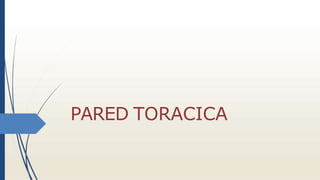PARED TORACICA
 
