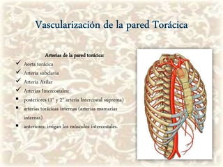 Arterias de la pared torácica:
 Aorta torácica
 Arteria subclavia
 Arteria Axilar
 Arterias Intercostales:
 posteriores (1° y 2° arteria Intercostal suprema)
 arterias torácicas internas (arterias mamarias
internas)
 anteriores: irrigan los músculos intercostales.
 
