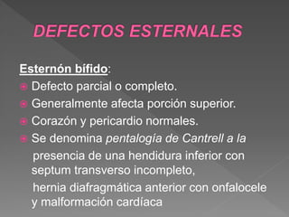Esternón bífido:
 Defecto parcial o completo.
 Generalmente afecta porción superior.
 Corazón y pericardio normales.
 Se denomina pentalogía de Cantrell a la
presencia de una hendidura inferior con
septum transverso incompleto,
hernia diafragmática anterior con onfalocele
y malformación cardíaca
 