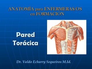ANATOMÍA para ENFERMERAS/OS
       en FORMACIÓN



  Pared
 Torácica

   Dr. Valdo Echarry Sequeiros M.Id.
 