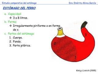Estudio comparativo del estómago 
Dra. Emérita Abreu García 
ESTÓMAGO DEL PERRO 
c 
a.Capacidad: 
3 a 8 litros. 
b.Forma: 
Irregularmente piriforme o en forma de v. 
c.Partes del estómago: 
1.Cuerpo. 
2.Fondo. 
3.Parte pilórica. 
1 
2 
3 
König y Liebich (2005)  