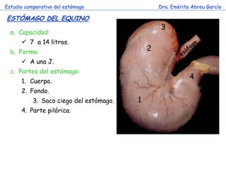 Estudio comparativo del estómago 
Dra. Emérita Abreu García 
ESTÓMAGO DEL EQUINO 
c 
a.Capacidad: 
7 a 14 litros. 
b.Forma: 
A una J. 
c.Partes del estómago: 
1.Cuerpo. 
2.Fondo. 
3.Saco ciego del estómago. 
4.Parte pilórica. 
1 
2 
3 
4  