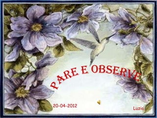 20-04-2012
             Luzia
 