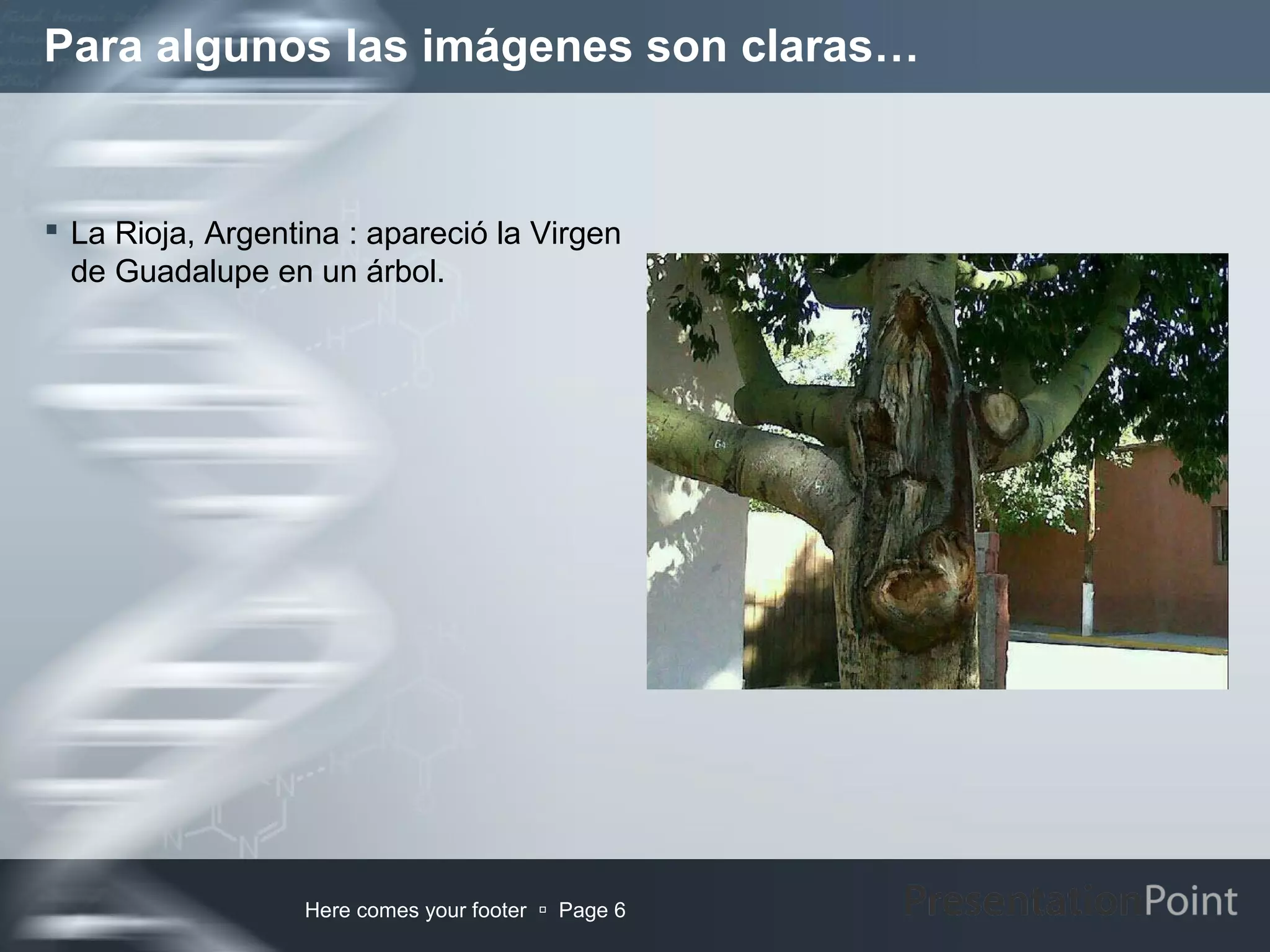 Para algunos las imágenes son claras…


 La Rioja, Argentina : apareció la Virgen
  de Guadalupe en un árbol.




                  Here comes your footer  Page 6
 