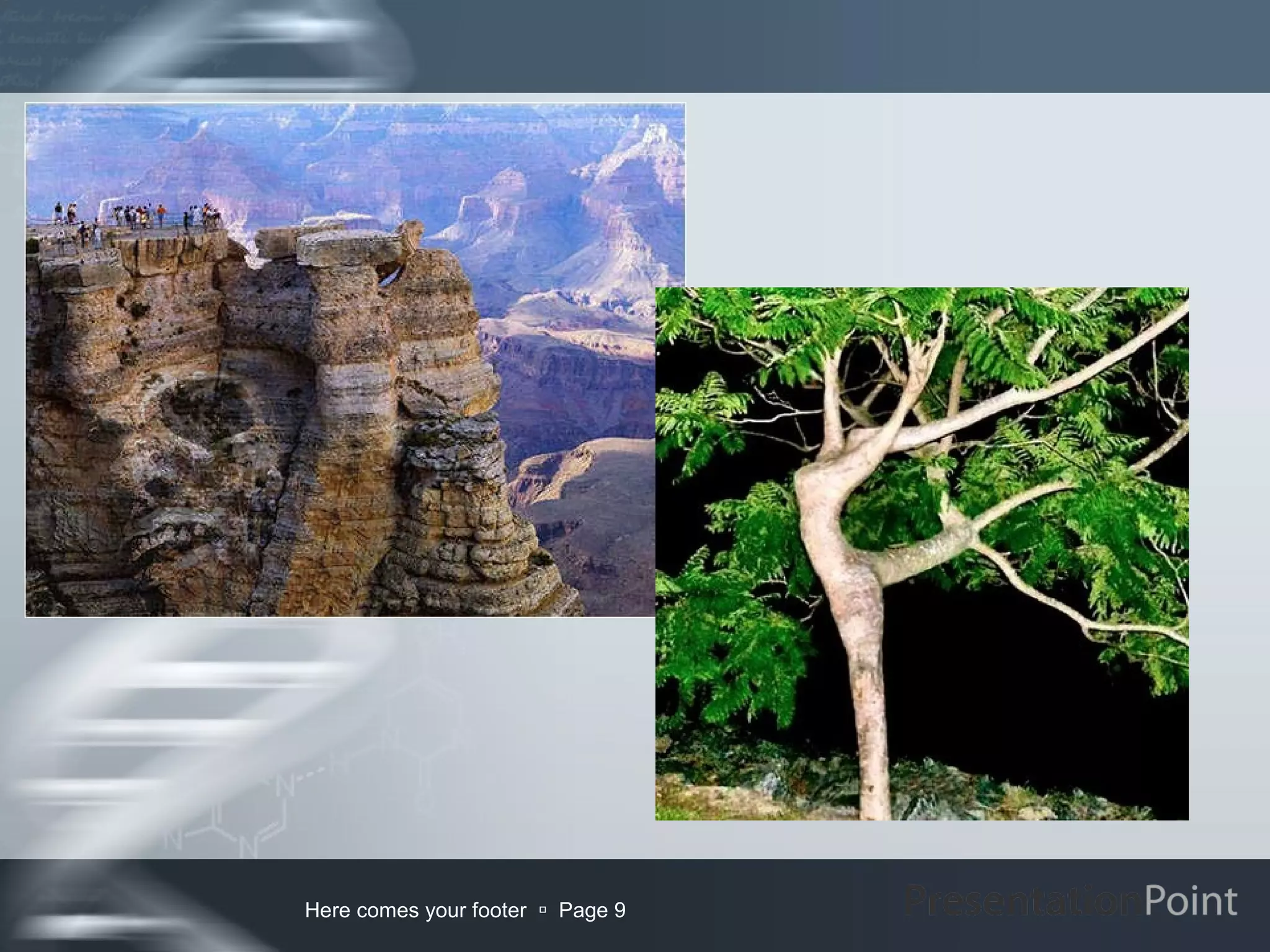 Here comes your footer  Page 9
 