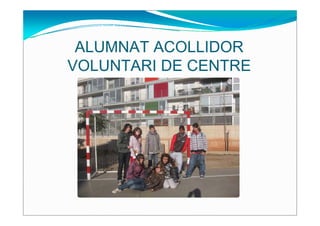 ALUMNAT ACOLLIDOR
VOLUNTARI DE CENTRE
 