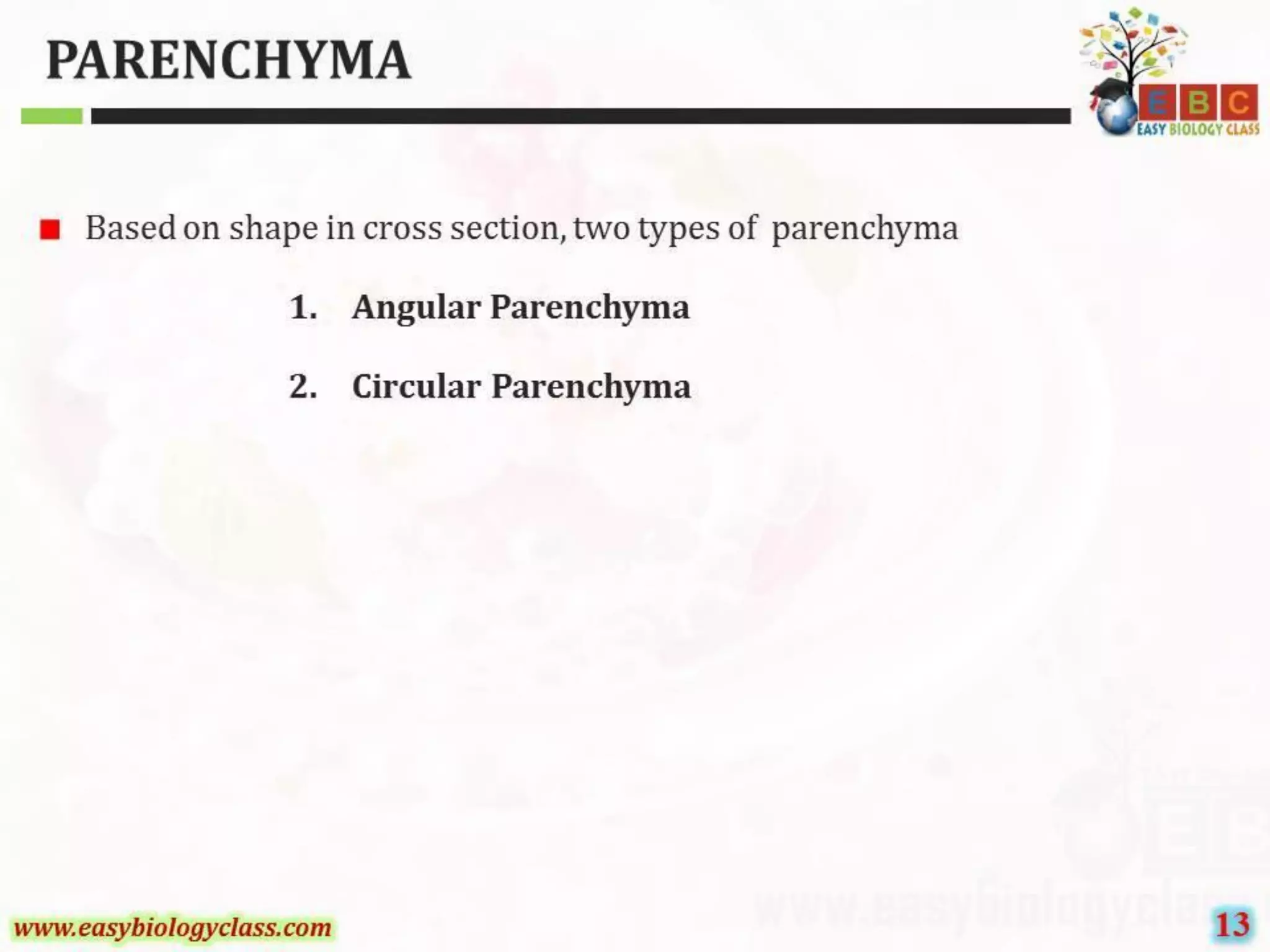 Parenchyma (1).pdf
