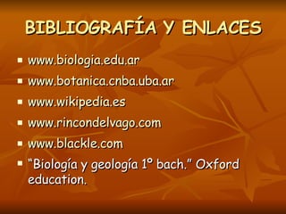 BIBLIOGRAFÍA Y ENLACES www.biologia.edu.ar www.botanica.cnba.uba.ar www.wikipedia.es www.rincondelvago.com www.blackle.com “ Biología y geología 1º bach.” Oxford education. 