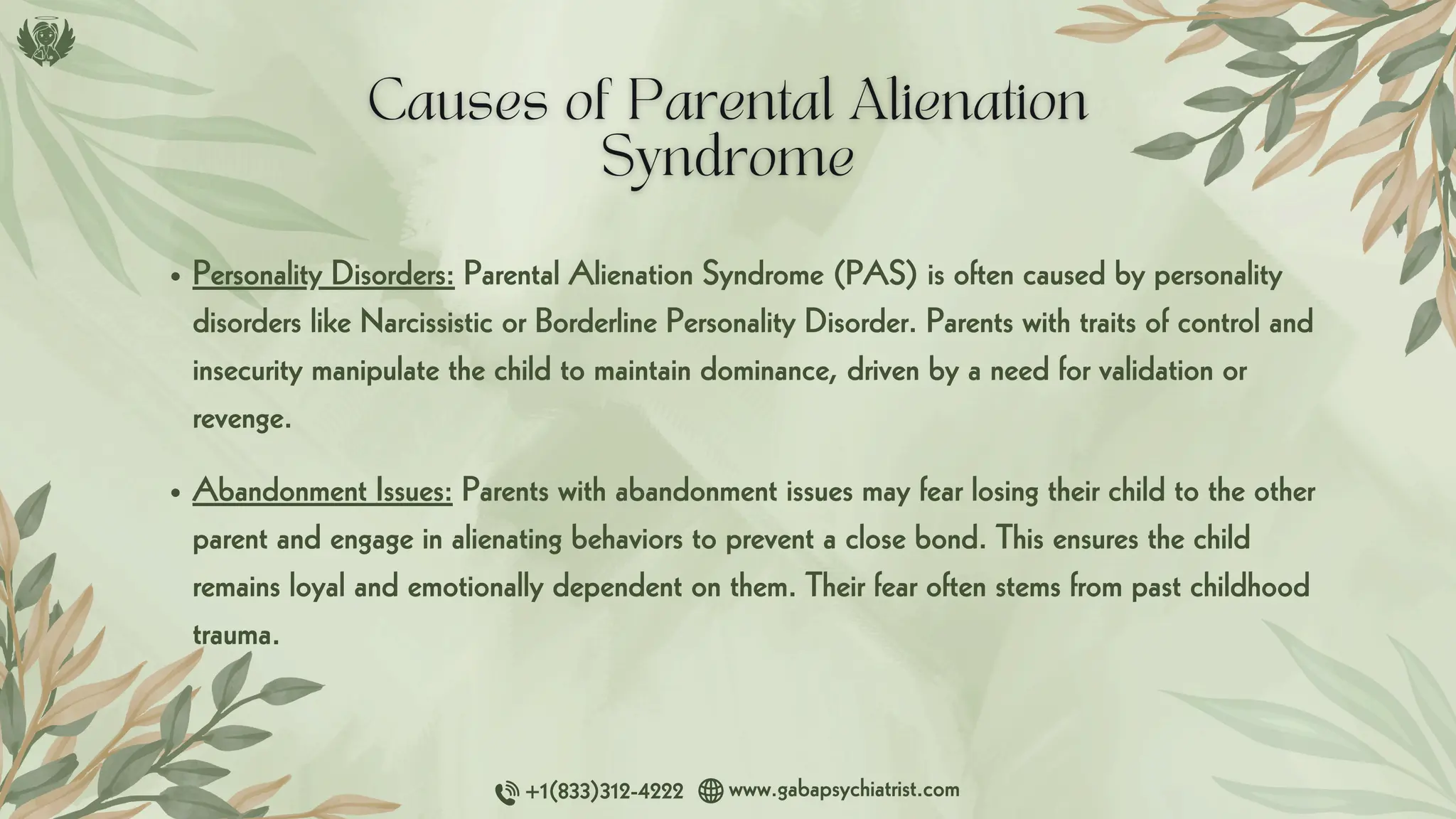 Parental Alienation Syndrome - Understanding and Treatment | PDF
