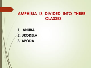 Apoda Examples Parental care in amphibians | PPT