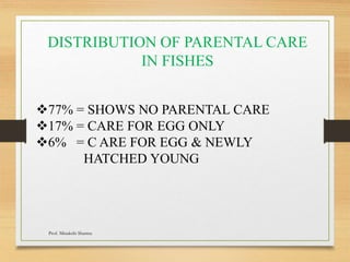 DISTRIBUTION OF PARENTAL CARE
IN FISHES
77% = SHOWS NO PARENTAL CARE
17% = CARE FOR EGG ONLY
6% = C ARE FOR EGG & NEWLY
HATCHED YOUNG
Prof. Minakshi Sharma
 