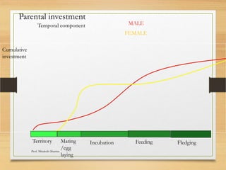 Parental investment
Temporal component
Cumulative
investment
Territory Mating
/egg
laying
Incubation Feeding Fledging
MALE
FEMALE
Prof. Minakshi Sharma
 
