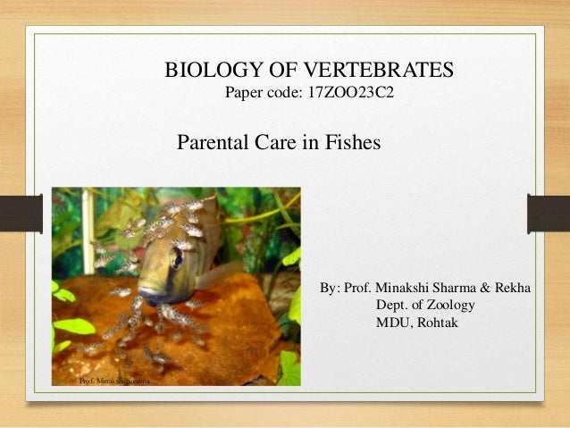 Parental care in fishes