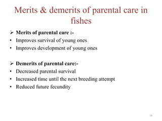 Merits & demerits of parental care in
fishes
 Merits of parental care :-
• Improves survival of young ones
• Improves development of young ones
 Demerits of parental care:-
• Decreased parental survival
• Increased time until the next breeding attempt
• Reduced future fecundity
16
 