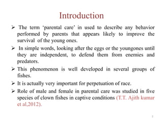 Introduction
 The term ‘parental care’ in used to describe any behavior
performed by parents that appears likely to improve the
survival of the young ones.
 In simple words, looking after the eggs or the youngones until
they are independent, to defend them from enemies and
predators.
 This phenomenon is well developed in several groups of
fishes.
 It is actually very important for perpetuation of race.
 Role of male and female in parental care was studied in five
species of clown fishes in captive conditions (T.T. Ajith kumar
et al,2012).
2
 
