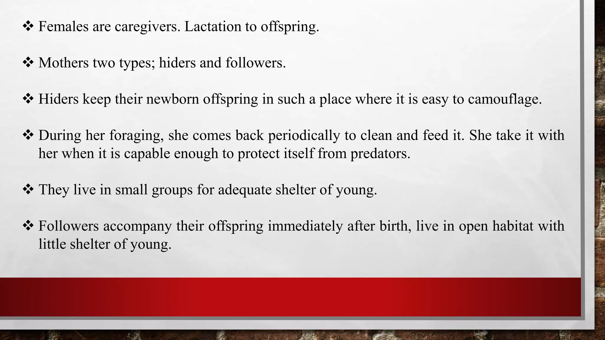  Females are caregivers. Lactation to offspring.
 Mothers two types; hiders and followers.
 Hiders keep their newborn offspring in such a place where it is easy to camouflage.
 During her foraging, she comes back periodically to clean and feed it. She take it with
her when it is capable enough to protect itself from predators.
 They live in small groups for adequate shelter of young.
 Followers accompany their offspring immediately after birth, live in open habitat with
little shelter of young.
 