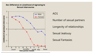 AO1
Number of sexual partners
Longevity of relationships
Sexual Jealousy
Sexual Fantasies
 