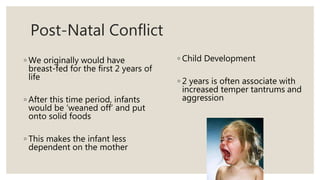 Post-Natal Conflict
◦ We originally would have
breast-fed for the first 2 years of
life
◦ After this time period, infants
would be ‘weaned off’ and put
onto solid foods
◦ This makes the infant less
dependent on the mother
◦ Child Development
◦ 2 years is often associate with
increased temper tantrums and
aggression
 