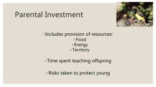 Parental Investment
◦Includes provision of resources:
◦ Food
◦ Energy
◦ Territory
◦Time spent teaching offspring
◦Risks taken to protect young
 