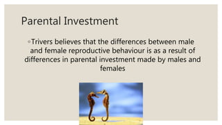 Parental Investment
◦Trivers believes that the differences between male
and female reproductive behaviour is as a result of
differences in parental investment made by males and
females
 