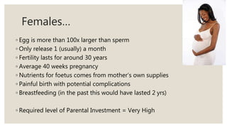 Females…
◦ Egg is more than 100x larger than sperm
◦ Only release 1 (usually) a month
◦ Fertility lasts for around 30 years
◦ Average 40 weeks pregnancy
◦ Nutrients for foetus comes from mother’s own supplies
◦ Painful birth with potential complications
◦ Breastfeeding (in the past this would have lasted 2 yrs)
◦ Required level of Parental Investment = Very High
 